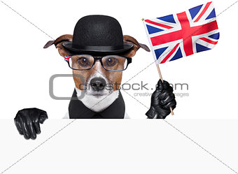 british dog 