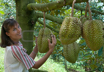 in the durian plantation