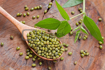 Mung beans over wooden spoon