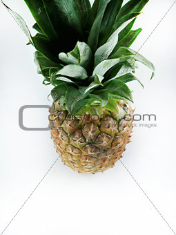 Fresh pineapple 