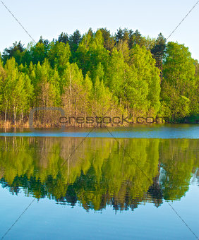 Forest on a Lake
