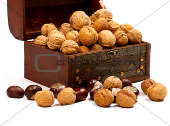 Chest With Walnuts 