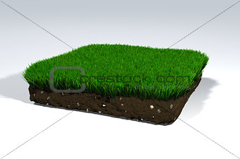 Clod of soil