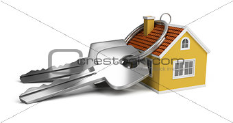 keys and house