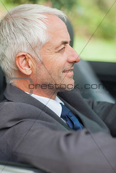 Relaxed businessman driving cabriolet