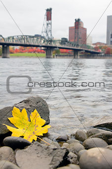 Fall Season Along Willamette River Portland Oregon