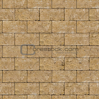 Seamless Tileable Texture of Coquina Wall.