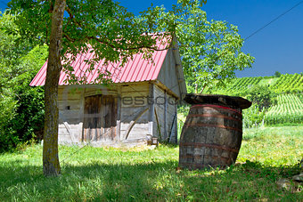Wooden cottage and barrel in vineyard
