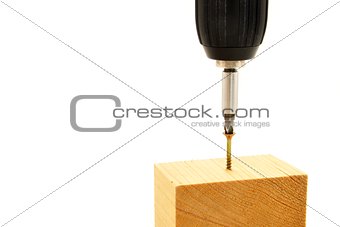 Screwing the screw