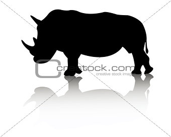 rhino animal