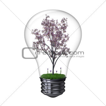 Blooming tree inside lightbulb