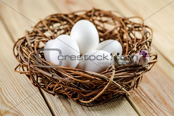 Two little birds on a nest with eggs