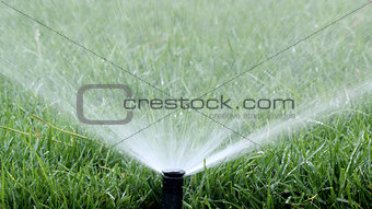 Automatic Garden Irrigation Spray watering lawn