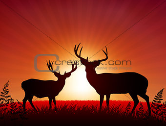 Deer on Sunset Background