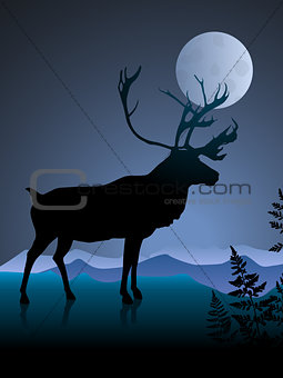 Deer on night background with mmon