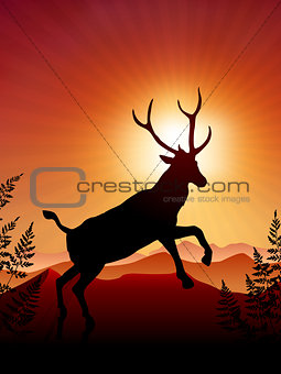 Deer ib Sunset Background
