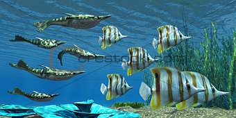 Devonian Pteraspis Fish