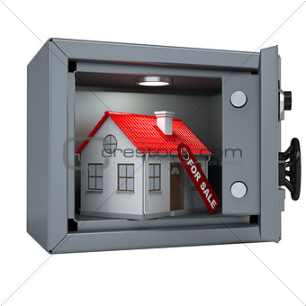 Small house in an open metal safe
