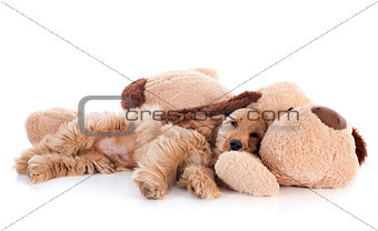 puppy cocker spaniel and toy