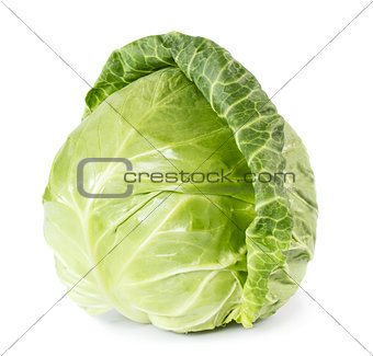 Whole fresh cabbage