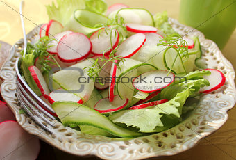 fresh salad with radishes, lettuce and cucumber