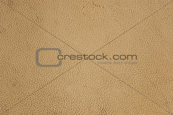 background texture of sheepskin