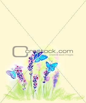 Painted watercolor card with summer lavender flowers and butterf