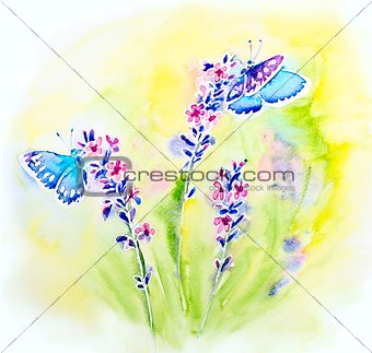 Painted watercolor card with summer lavender flowers and butterflies