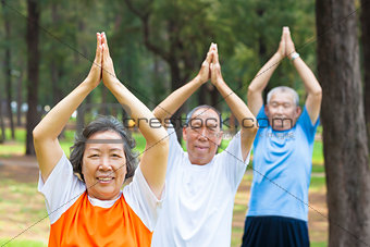 close-up of seniors  doing gymnastics in the park