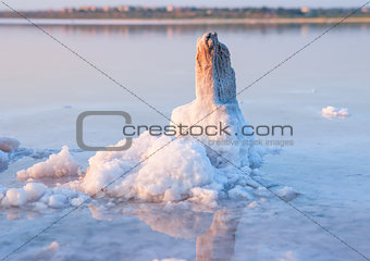 All objects in this lake covered with salt.