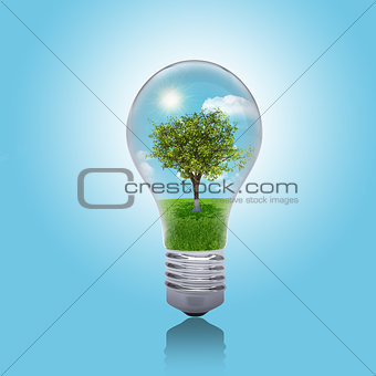 Trees, grass and sky in the light bulb