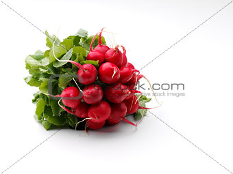 ripe radish