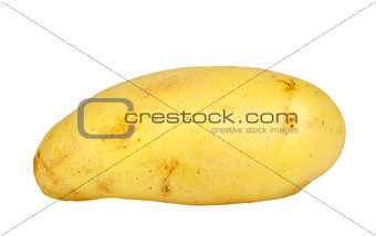 Single yellow raw potato