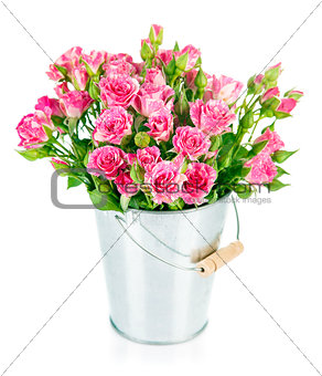 Bunch pink roses in bucket