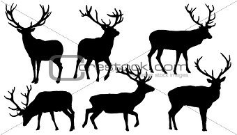 deer silhouettes
