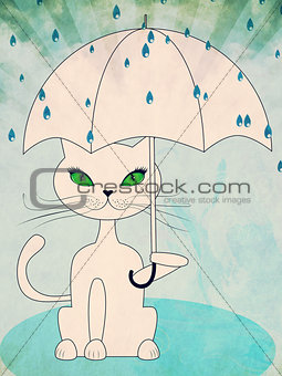 Cat under rain