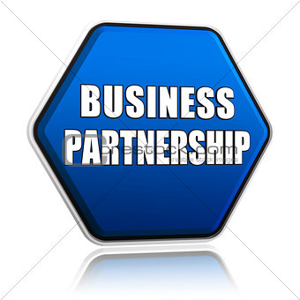 business partnership on blue hexagon banner