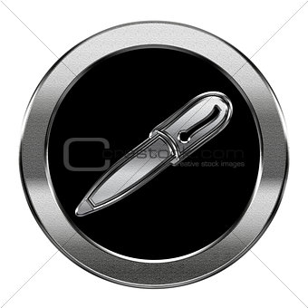 pen icon silver, isolated on white background.
