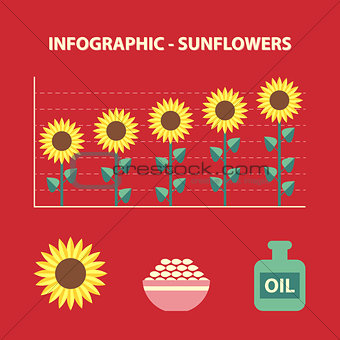 sunflower infographic