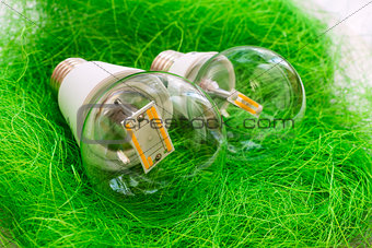 two LED bulb E27 with different chips in large transparent glass