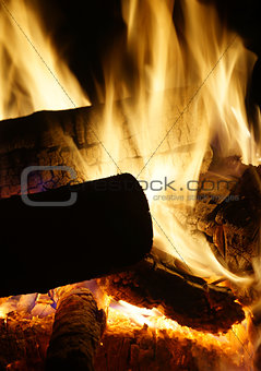 Burning logs closeup