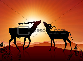 Deer ib Sunset Background