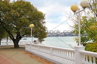 Site of seaside quay with a lonely tree. Gelendzhik. Russia.