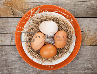 Eggs nest