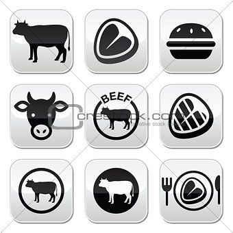 Beef meat, cow vector buttons set