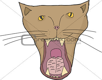 Isolated Cat Mouth