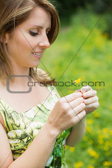 Cute woman holding flower in field