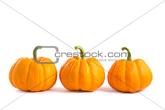 Decorative orange pumpkins 