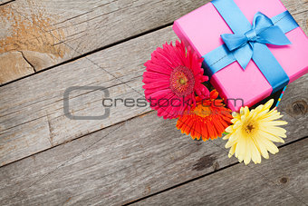 Colorful gerbera flowers in gift box