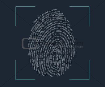 identification of fingerprint biometric